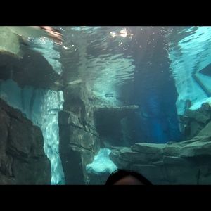 Meet your Posher, Hemant